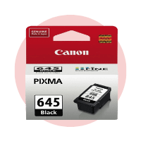 Canon 645 & 646 Ink Cartridges